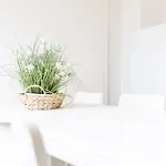 Mr Living I Moderne Mit Einzelbetten, Voll Ausgestattete Kueche, Wlan, Parkplatz I Dr01, Dr02 * Driedorf