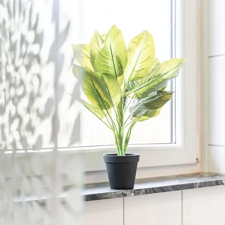 Mr Living I Moderne Mit Einzelbetten, Voll Ausgestattete Kueche, Wlan, Parkplatz, Ideal Fuer Monteure I Dr01, Dr02